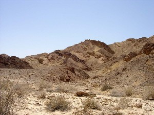 Israeli Negev, Midbar Paran